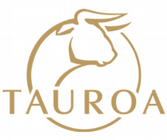 Tauroa Spielberg GmbH