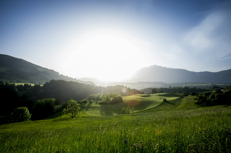 Murtax Steuerberatung GmbH
